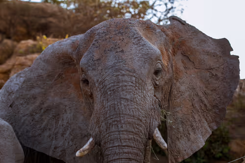 Item #97390858549290517915673057044451120522321858296040786888435299466095492071425 Media