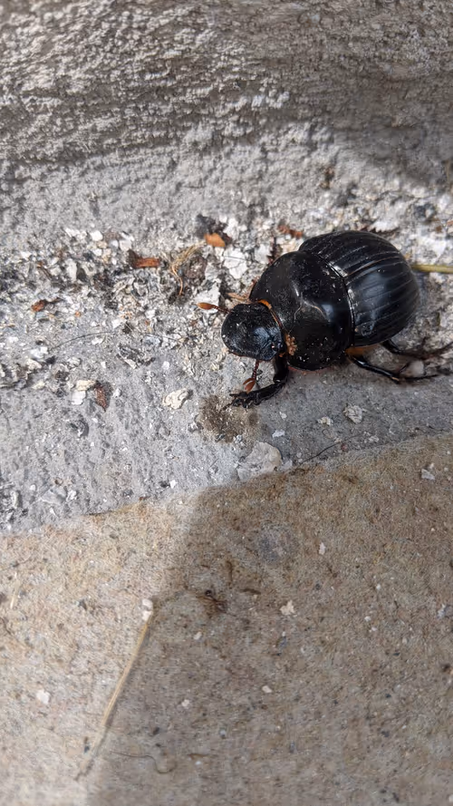 Item #47518194273065051299756248603371626593986050369570479212048397538862332641281 Media