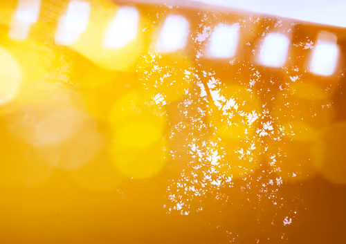 Item #42626720449793049245731240582970290857527864811431423741856946903891436371969 Media