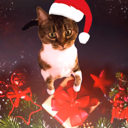Christmas Loly (Lolycat#33)