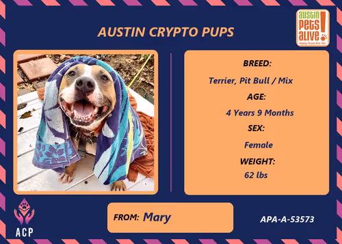 Item #17951378556605612276483806045649535824451571419947225201384628511751500988417 Media