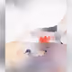 80886986594581243970619467612907956387326346757489292338188017047219510181889