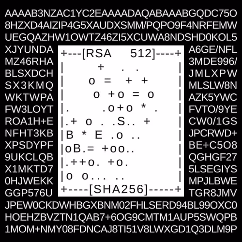 Item #89742127896895423845143644154195755030163752754202211636378311551818752065537 Media