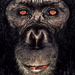 109162157552346088047496633038404394118504199992061596446112929722777919815681