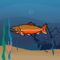 78964944229926021655968168462037545876501657311134209832205588714396204400641