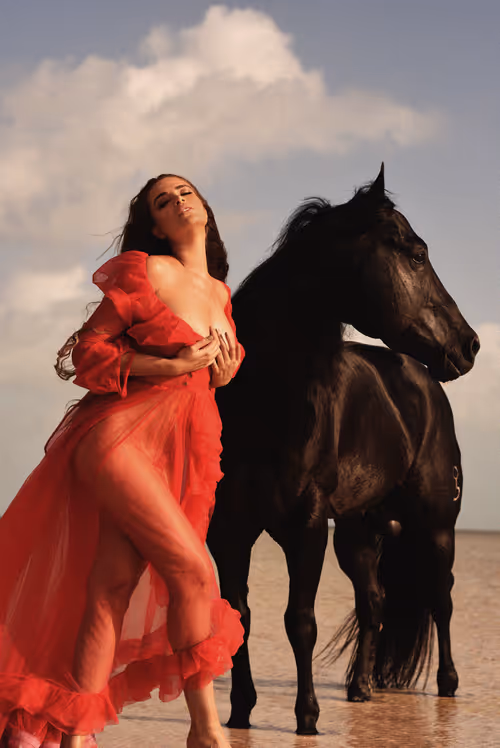 Item #10311560237288479791245027674378898479116131956774636101046368669000439693313 Media