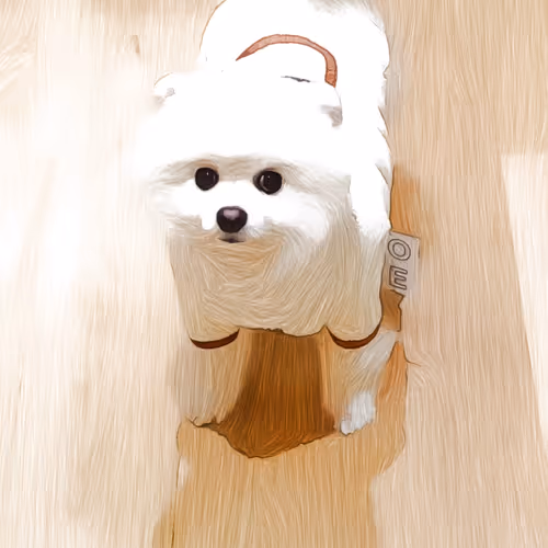 Item #46460775449334421216316860740668723509771506754498136768887223825167430975489 Media