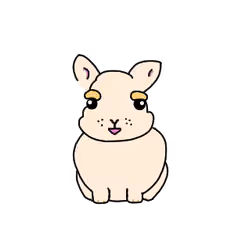 ウサギ