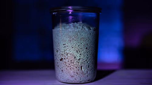 Item #10523387439919359819614962574920529005735130662568673363953420025015385980929 Media