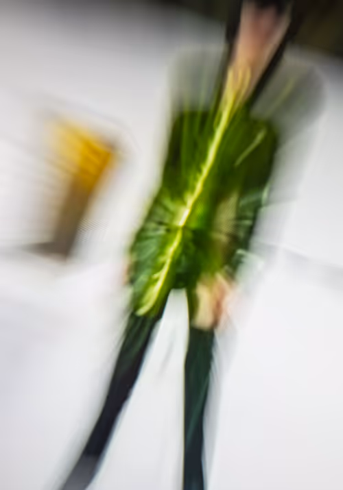 Item #14503465187022007611966174832108157792995950780561911108779820384900278648842 Media