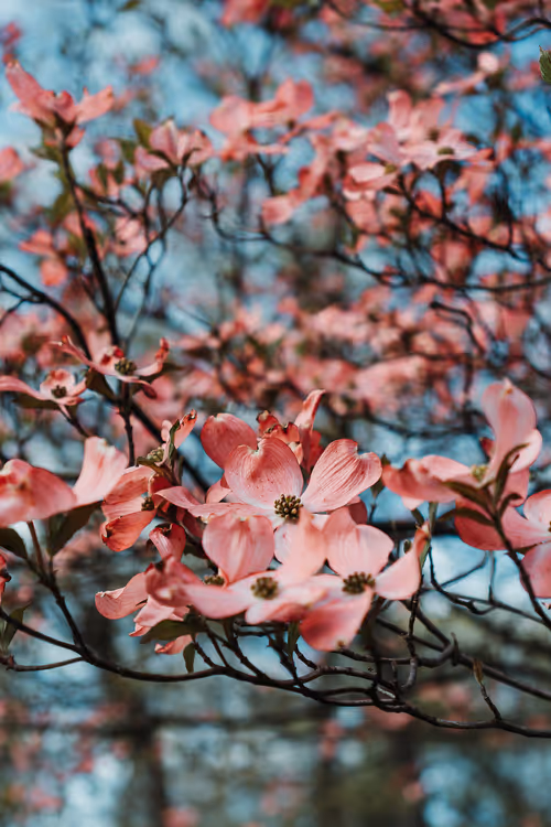 Item #11823596008958279649745844571271956333298936525700857190365537799584905953281 Media