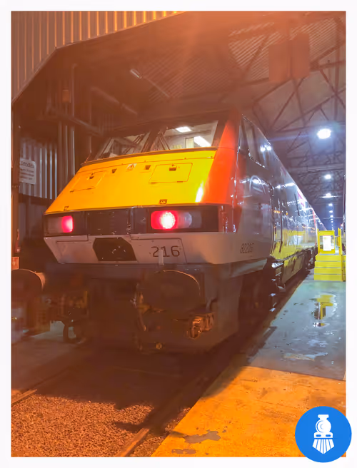 Item #35267908577786890056322311480494236926304779976743784831084554907829053423617 Media