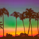 Rainbow Sunset w/ Palm Trees