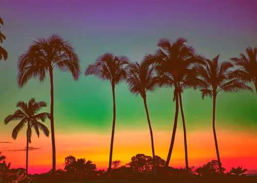 Item #52575804303161794449600573564715429190343404046060487203977302146703622668289 Media