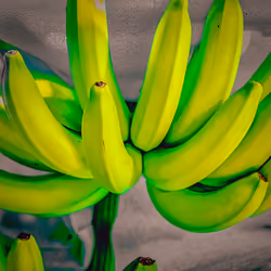 Banana hand m1