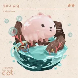 sea-pig