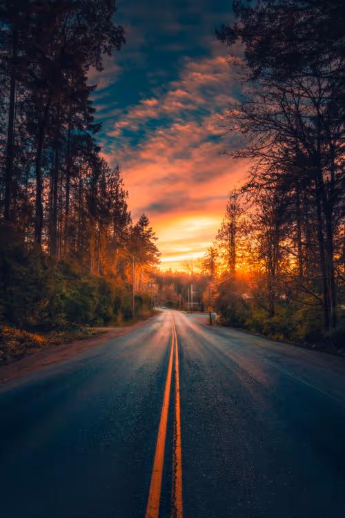 Item #62546128571173573861370652936856218284243546780344801453551937530012572319745 Media