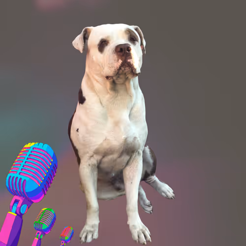 The too serious dog-singer