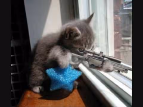 Untitled Collection #40504258