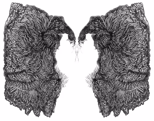 Item #48216677678887992956199146050101977369740452437452834237877791395918422999041 Media