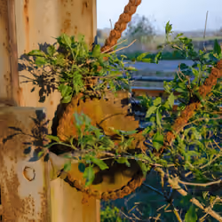 nature takes back