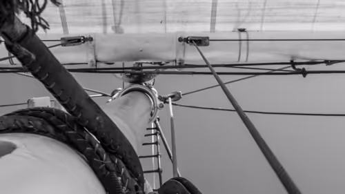 Item #34110083671509346653453586160941404072216291014688644284046702248245187313665 Media