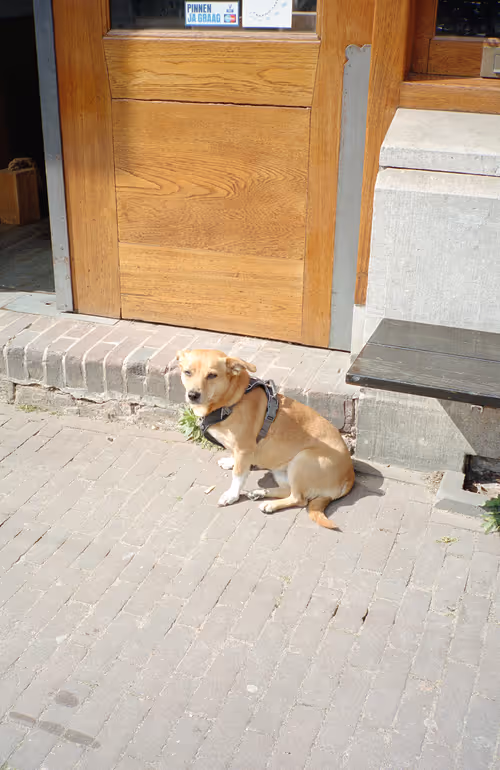 Item #64073144841343757614716512507723910140908511863865217898604629600617455681537 Media