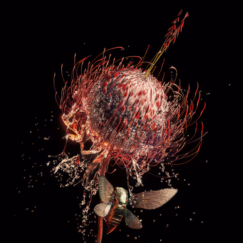 Item #44023362348089140783711365289164512888721184694228485693981513154385013637150 Media