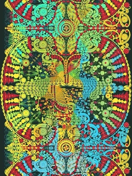 Item #37427849971963562945680097919920776522842580039439941399392249969155233546241 Media