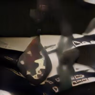 Item #76077794565718226373874436126464941724070473957547354386059771455802915684353 Media