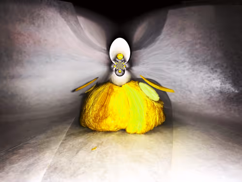 Item #67457553150443021914092587022250176347061355639032054621716075969562258964481 Media