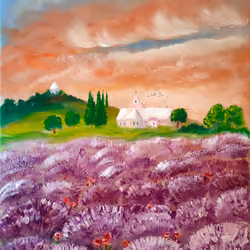 Sunset above lavender field