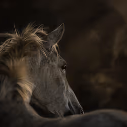 12333759371985289416686528618250941787801478820548931806244366486636205178881