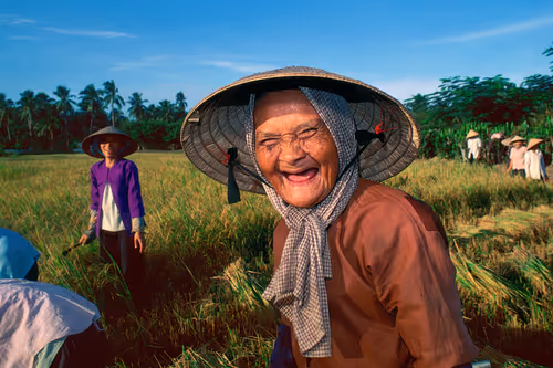 Item #24110165408155573398908987562152031273205884089304227586706331218305475411969 Media