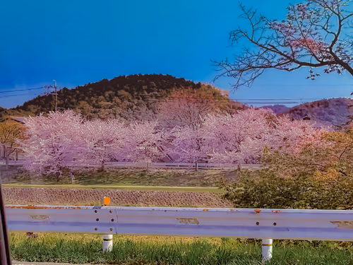 Item #26309083901545567454709889211670292098627789932924015051489478919593006202885 Media