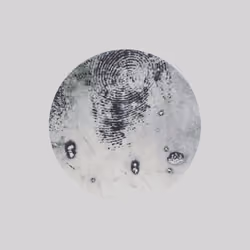"NIEBLA" XIV.