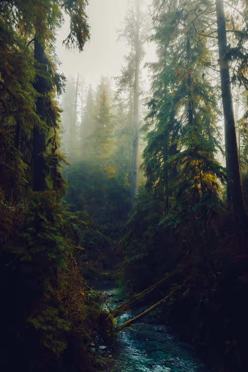 Item #68893585543807319925330967808538718473616889989347730596649157790928818143233 Media