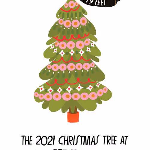 The 2021 Christmas Tree at Rockefeller Center