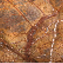 MarbleBit #9 | Rain Forest Brown