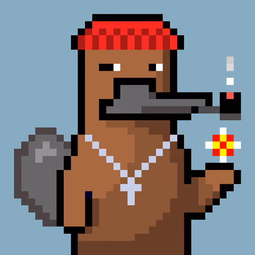 Platy Punk #352