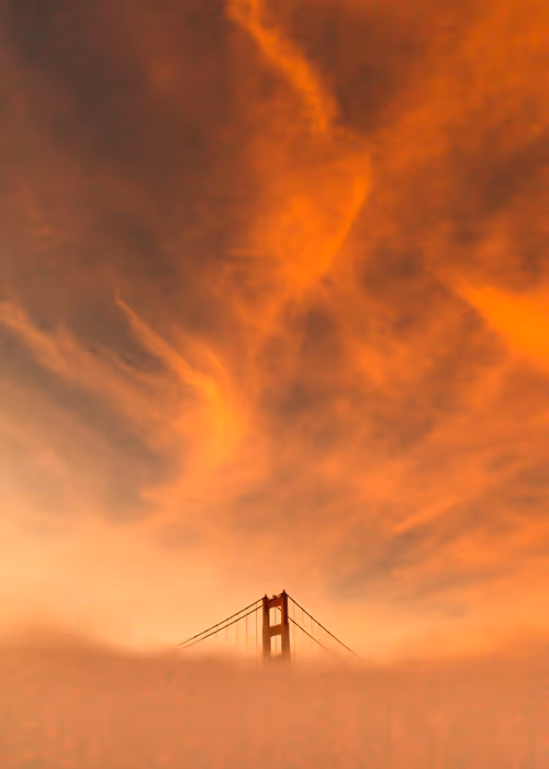 Item #73759399990209516888304032698275326364251253030870503334938121146024828338177 Media