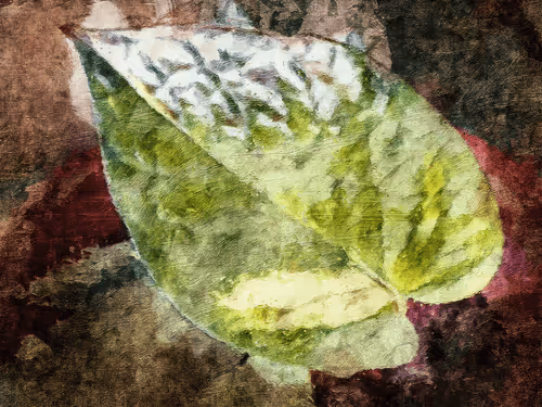 Item #69261177602478584146078213691104273677815526894191982293268527980487674691585 Media