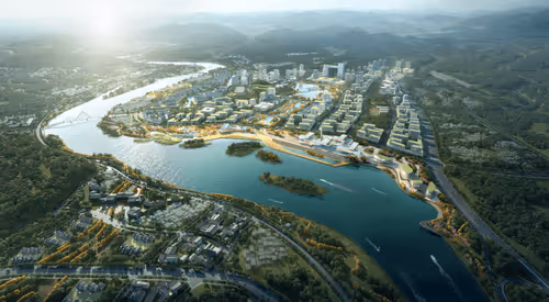 Untitled Collection #73362152