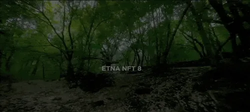 Item #29665505459776512063151611391641042533234332755845632920050768250967487938561 Media