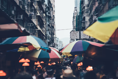 Item #16874528741044394887762532070483382139746736207291471777227463649112042242049 Media