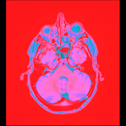 64162533542198579898252916190583583845604629893829087458582975967893854879745