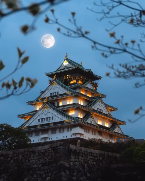 Item #81365922554281880143414136761733390581567018146899571572498285349937526865921 Media