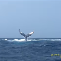 80965803268169370603932631570667161375508893671094224909166964173291923701761