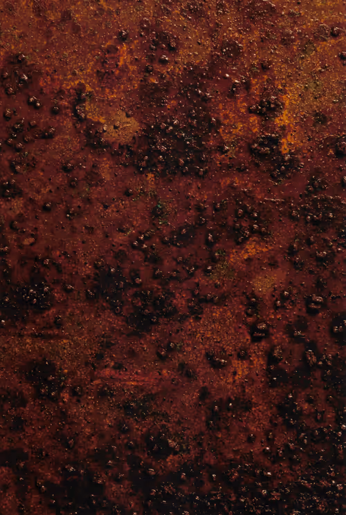 Item #23362206080031759863674021537611628681475652794224112579979904964024934072321 Media