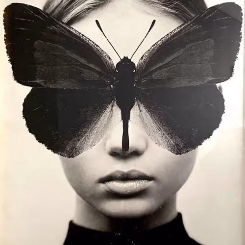 Untitled Collection #19380758